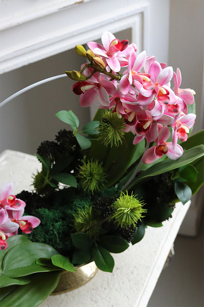 Cesareo gumowy storczyk w pucharze