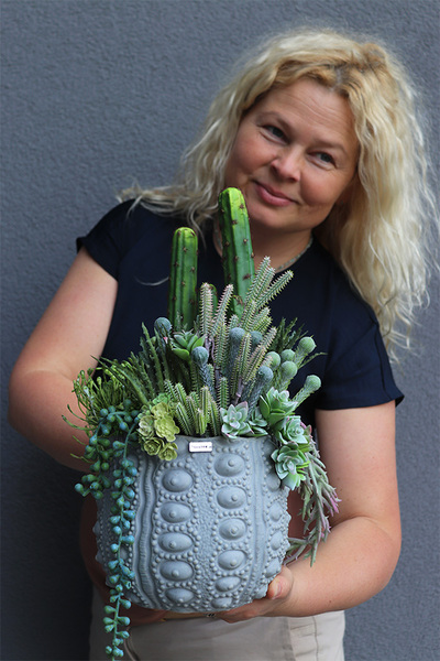 Zielona Redlena Cacti, sukulenty w donicy