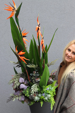 Strelicja Genassa Exclusive, egzotyczna dekoracja podłogowa, wym.135cm 