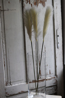 Brush, sztuczny kłos - pióropusz trawy, wys.105cm