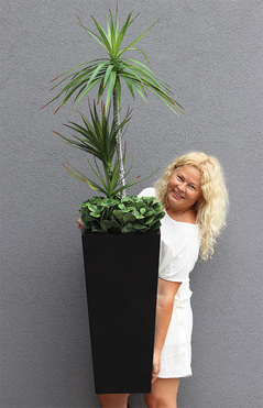 OD RĘKI Dracena Fiberglass, sztuczna roślina w donicy fiberglass, wys.153cm