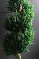 Cyprys, sztuczna roślina w doniczce