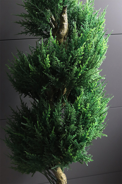 Cyprys, sztuczna roślina w doniczce