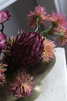 Olivina Kristi 2, kompozycja sukulenty w złotym pucharze