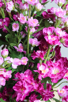 Pink FLowers 2, różowy wianek na drzwi