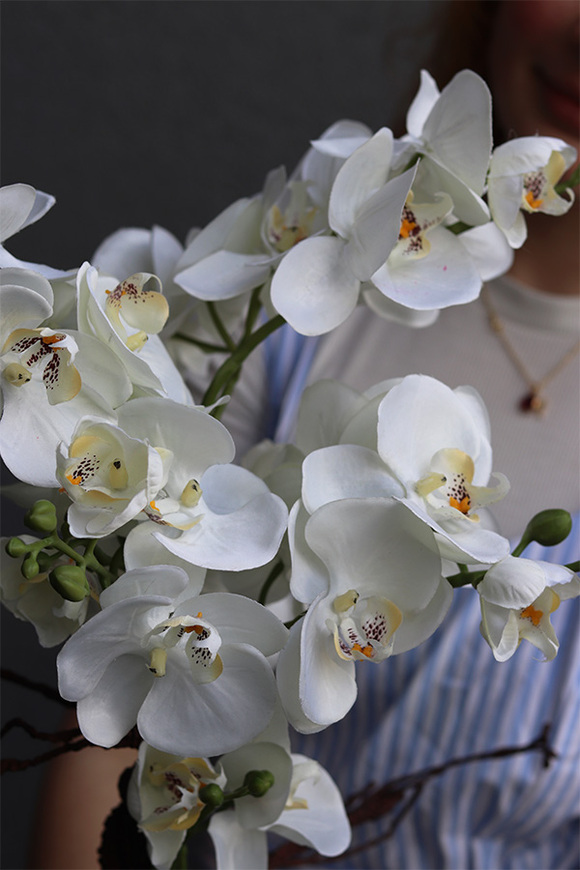 Silver Fretana, sztuczny storczyk w srebrnej misie