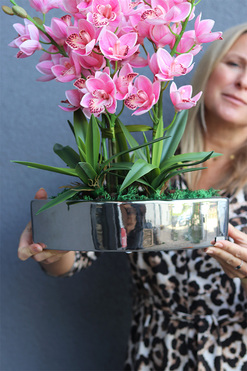 Barbie Manfredo, sztuczny storczyk w doniczce, wys.60cm