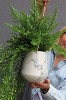 Marbello Green, kompozycja zielona w wiszącej donicy