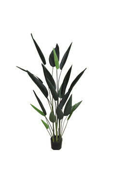 Strelicja Green, wysokiej jakości sztuczna roślina, wym.160cm