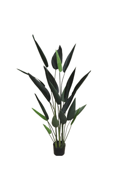 Strelicja Green, wysokiej jakości sztuczna roślina