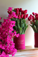 Pink Tulips, amarantowy flowerbox z tulipanami