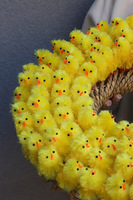 Chiccita, wielkanocny dekoracyjny z kurczaczkami