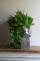 Suculentas Espana sukulenty w głowie kompozycja