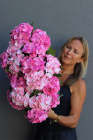 Pink Grettia, długi kosz różowych hortensji