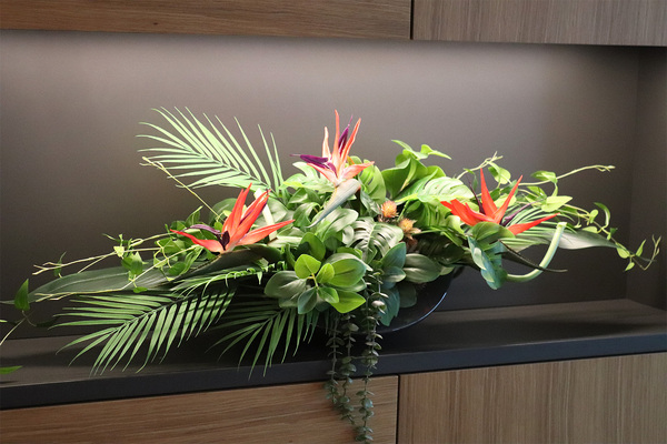 Strelicja Moko Jungle, dekoracja kwiatowa do wnęki