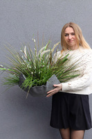 Grass Volcan nowoczesna kompozycja z trawami