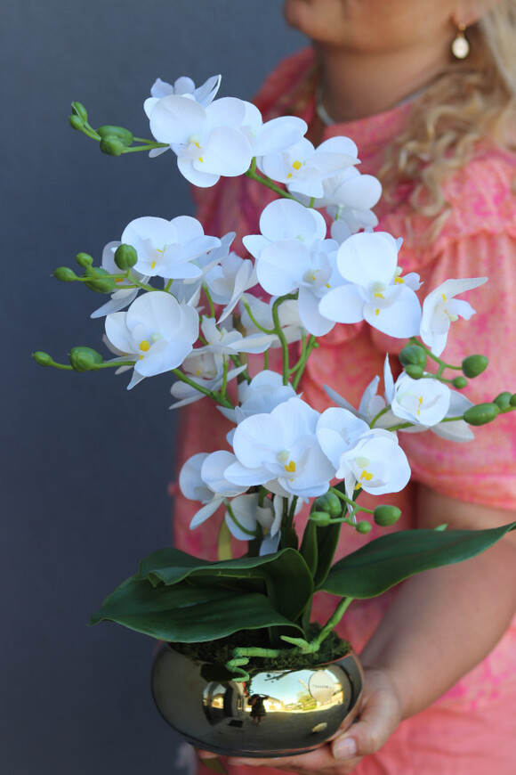 Piano Gold Mini, gumowy w złotej donicy