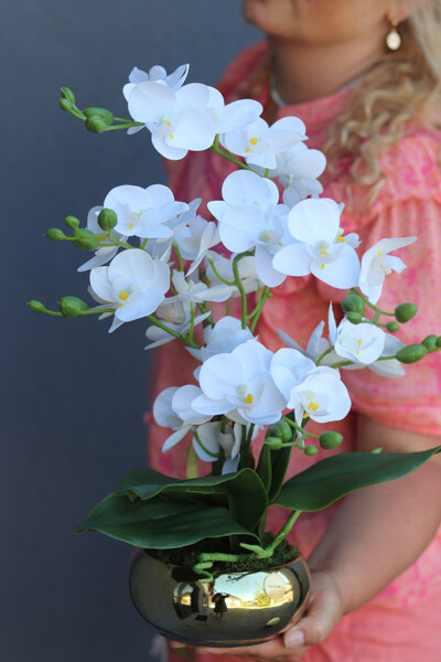 Piano Gold Mini, gumowy w złotej donicy