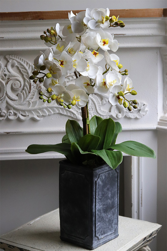 Nemena, gumowy storczyk w donicy vintage