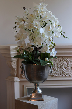 OD RĘKI Deluxe Silver, storczyk w srebrnym pucharze, wys.88cm