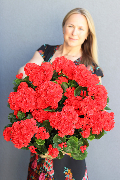 Czerwona Vilena, kosz z pelargoniami, wys.53cm 