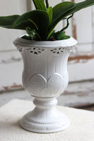 Palominia, elegancki storczyk w ażurowym pucharze, wys.69cm