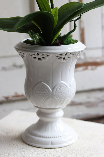 Palominia, elegancki storczyk w ażurowym pucharze, wys.69cm