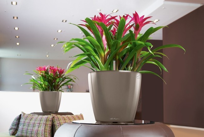 Classico LS, elegancka donica z nawadnianiem, antracyt