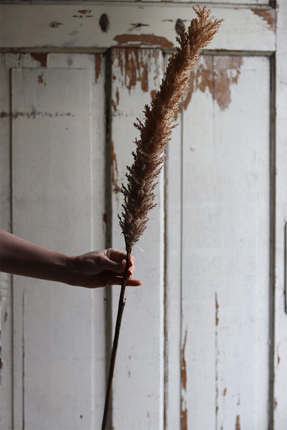 Boho Canadian, sztuczna trawa z piuropuszem, brązowa, wys.110cm