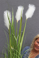 sztuczna trawa Pióropusze, biel