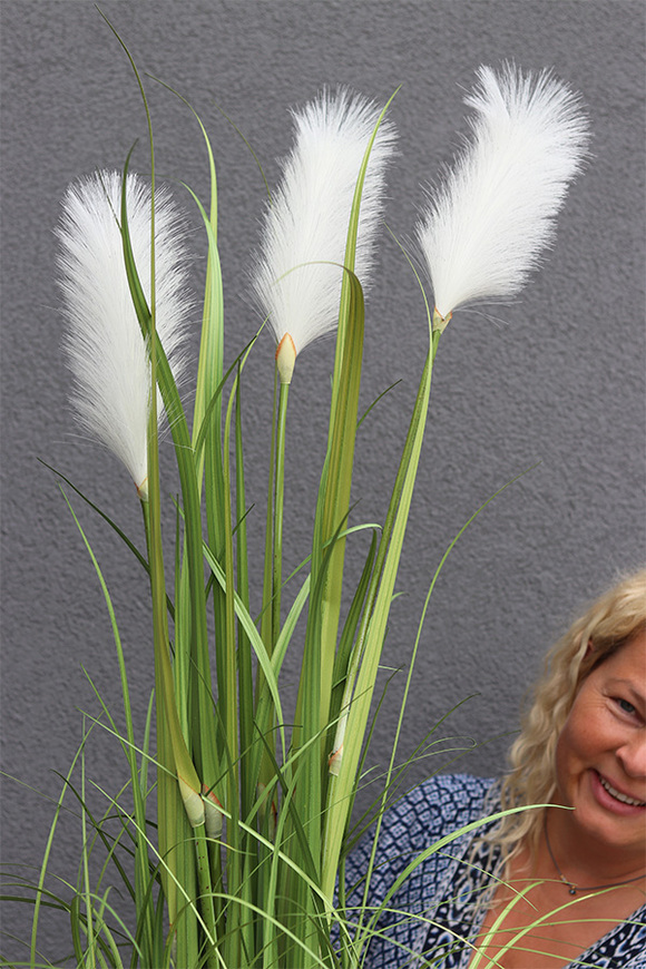 sztuczna trawa Pióropusze, biel