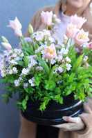 Premium Spring Pink, dekoracja nagrobna w misie