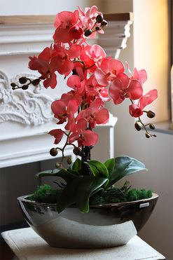 Laos Coralla, różowy storczyk sztuczny, wys.65cm