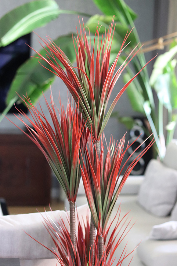 Dracena Ruda, wysokiej jakości sztuczna roślina