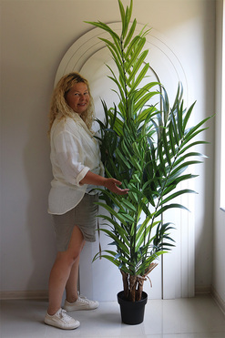 Palma Brasileiro, sztuczna roślina w doniczce, wys.190cm 