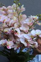 Morella, wysokiej jakości różowy sztuczny storczyk