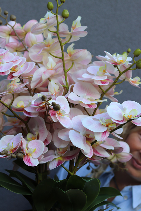Morella, wysokiej jakości różowy sztuczny storczyk