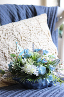 Shell Belle, kompozycja marynistyczna w muszli