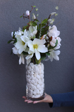 Magnolie Glassier, kompozycja kwiatowa w wazonie, wys.50cm 