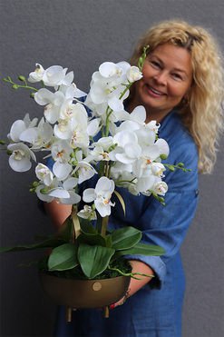 Złota Baśń, storczyk w złotej osłonce na nóżkach, wys.64cm