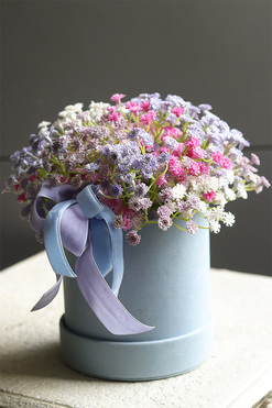 Kaszka Blue, flowerbox kwiatowy welurowy, gipsówka, wym.20x20cm