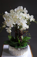 Nullina Silver Tresta, sztuczny storczyk w lustrzanej misie