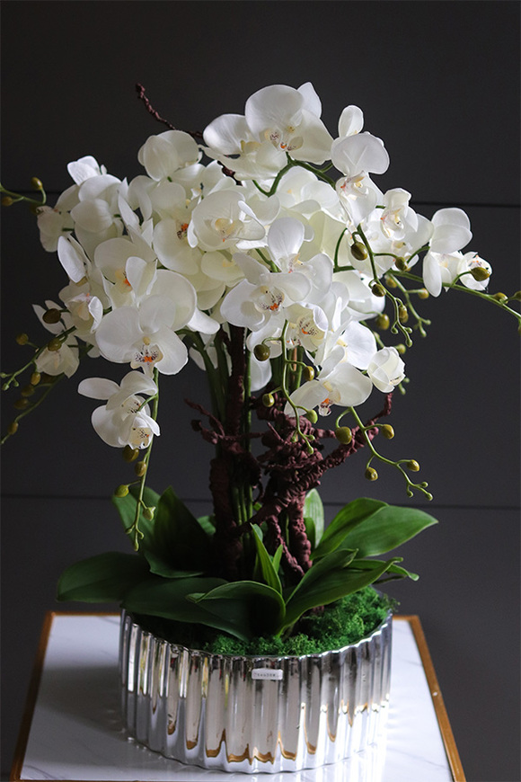 Nullina Silver Tresta, sztuczny storczyk w lustrzanej misie