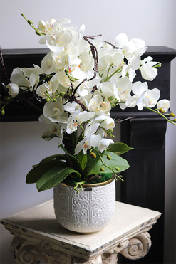 Kerena, biały sztuczny storczyk, wys.64cm