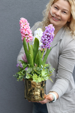 Hiacyntowo Gold, kompozycja z hiacyntów w złotej doniczce, wys.48cm 