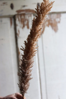 Boho Canadian, sztuczna trawa z piuropuszem, brązowa, wys.110cm