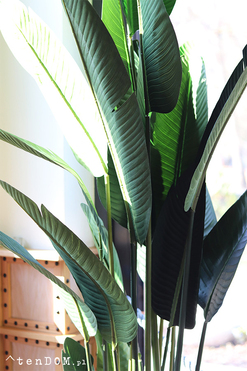 Bananowiec Boho, sztuczna roślina w donicy, wys.200cm 