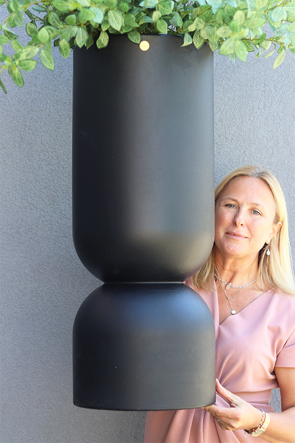 Black Tiger Moderno, roślina w metalowej donicy