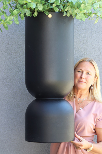 Black Tiger Moderno, roślina w metalowej donicy