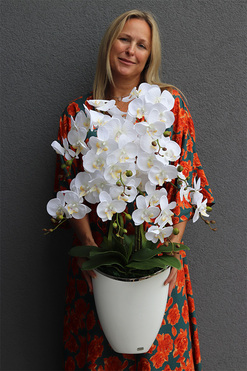 Kapitol White, sztuczny storczyk w biało-srebrnej donicy, wys.85cm